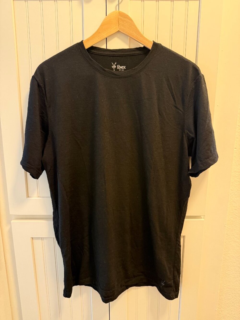 Ibex Men's 24 Hour Short Sleeve Crew